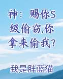 神：赐你S级偷窃,你拿来偷我？
