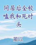 同居后恋爱的小说