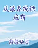 反派系统供应商在线阅读