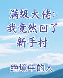 满级大佬：我竟然回了新手村