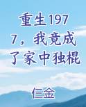 重生1977，我竟成了家中独棍推荐小说