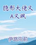 隐形大佬又A又飒小说全文免费阅读