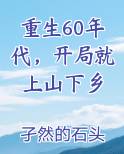 重生60年代,开局就上山下乡下载
