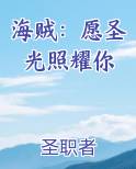 海贼：愿圣光照耀你