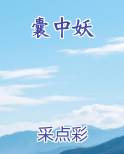 囊中妖