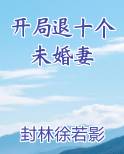 开局退十个未婚妻