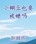 小糊豆也要被嬷吗免费小说