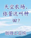 天空农场，你管这叫种田？排行榜完结版