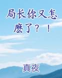 局长怎么说