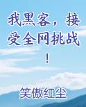 我黑客接受全网挑战小说改编一口气看完