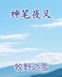 神笔夜叉小说全文免费阅读
