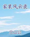 家装风云录