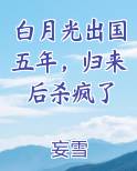 白月光出国五年，归来后杀疯了
