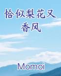 恰似梨花又香风